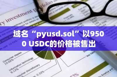 域名pyusd.sol以9500 USDC價格售出，凸顯數(shù)據(jù)處理與存儲服務(wù)領(lǐng)域增長潛力